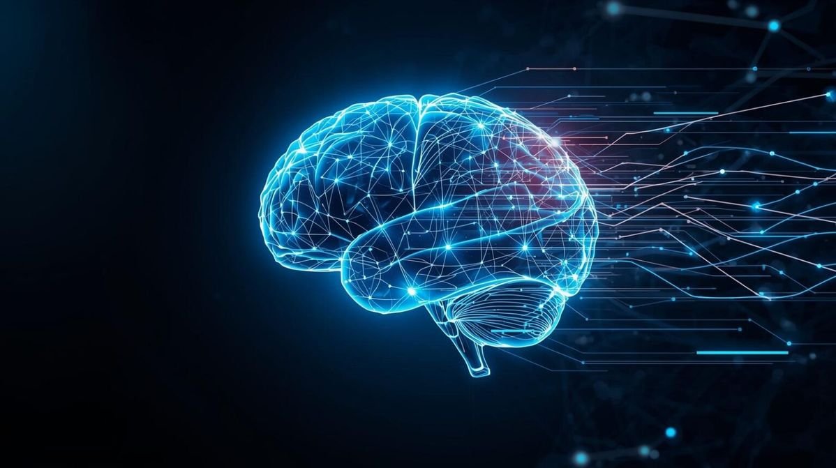 O Sistema Glinfático: A Descoberta que Mais Mudou o Que Sabemos Sobre Por Que Dormimos